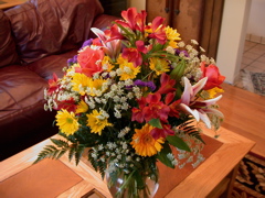DSCN3801.jpg