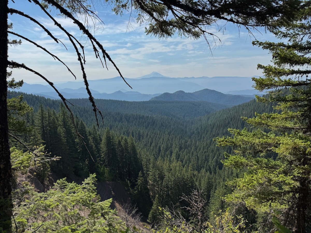 Southern WA, featuring Mt Hood